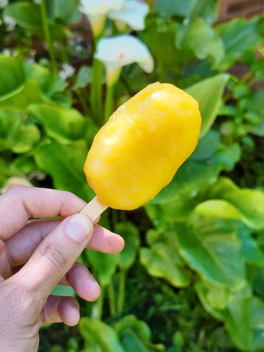 helado de mango y coco