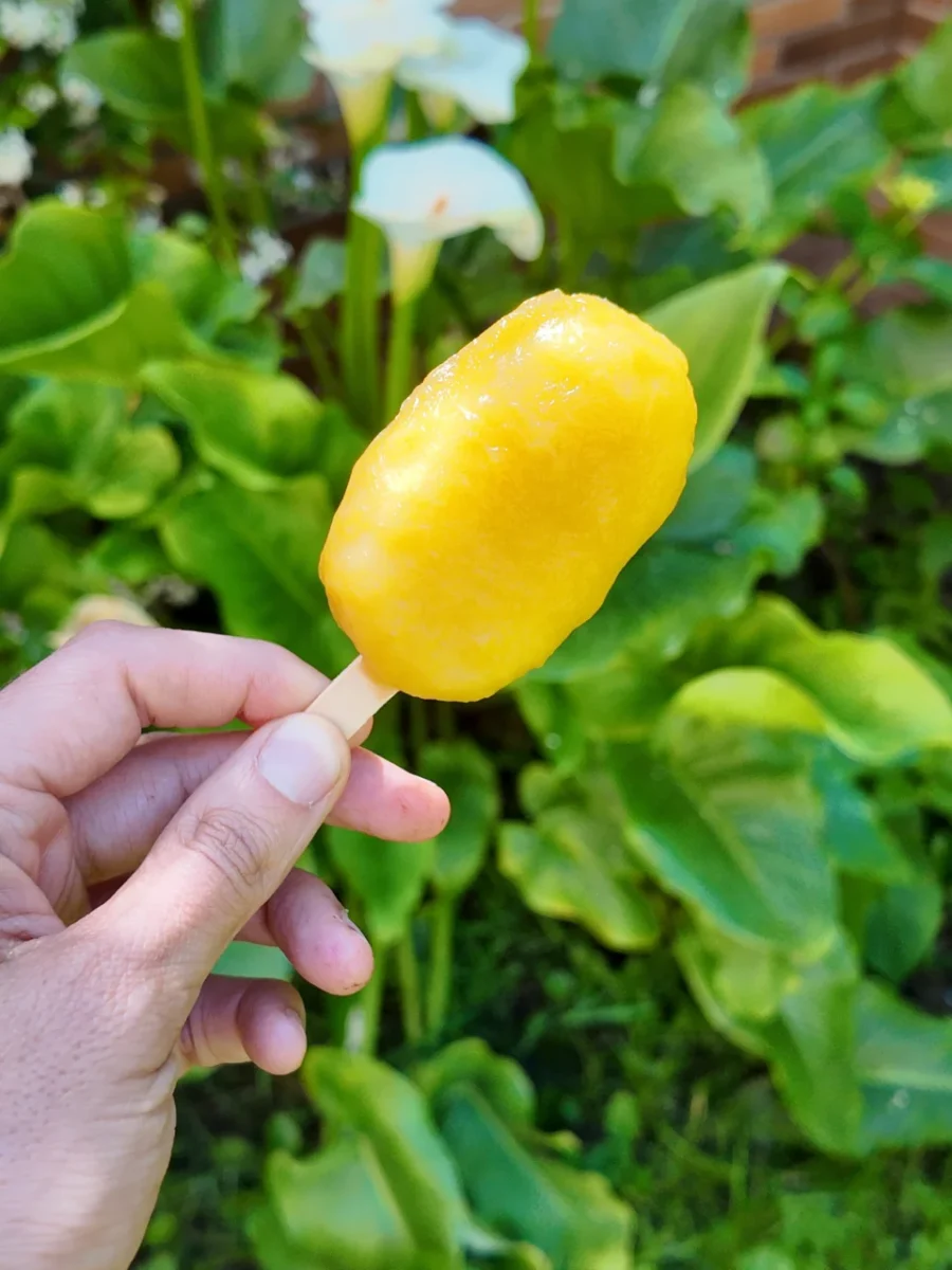 como hacer helado de mango